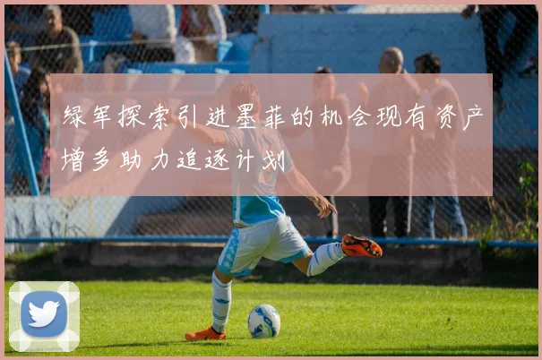 绿军探索引进墨菲的机会现有资产增多助力追逐计划