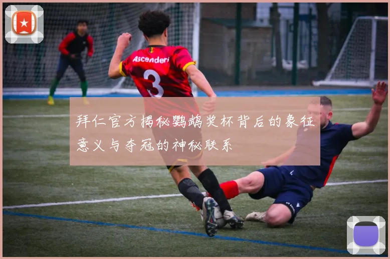 拜仁官方揭秘鹦鹉奖杯背后的象征意义与夺冠的神秘联系